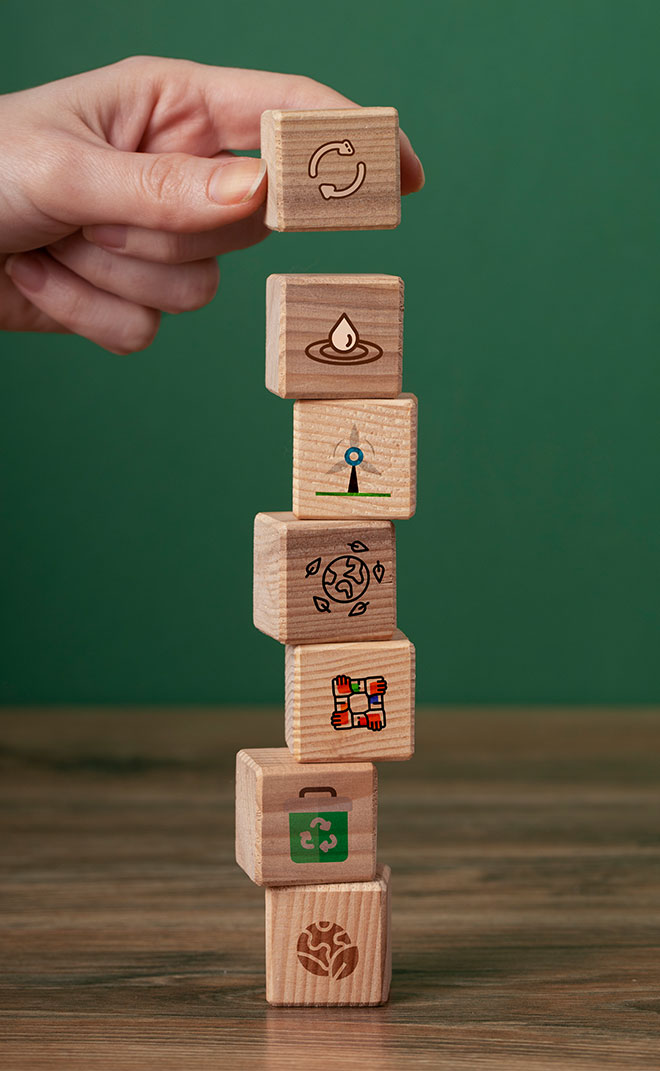 Goals for Sustainable Development